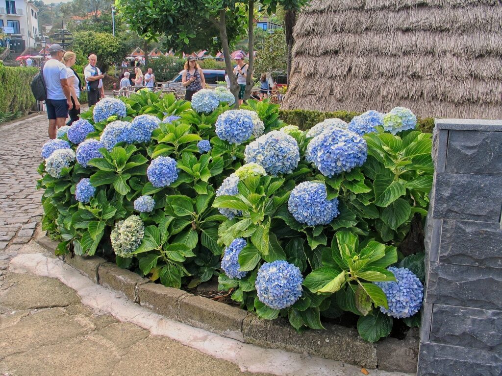 Hawking Portfolio Review: 3 October, 2025 1 Hawking Portfolio Review: 3 October, 2025 1