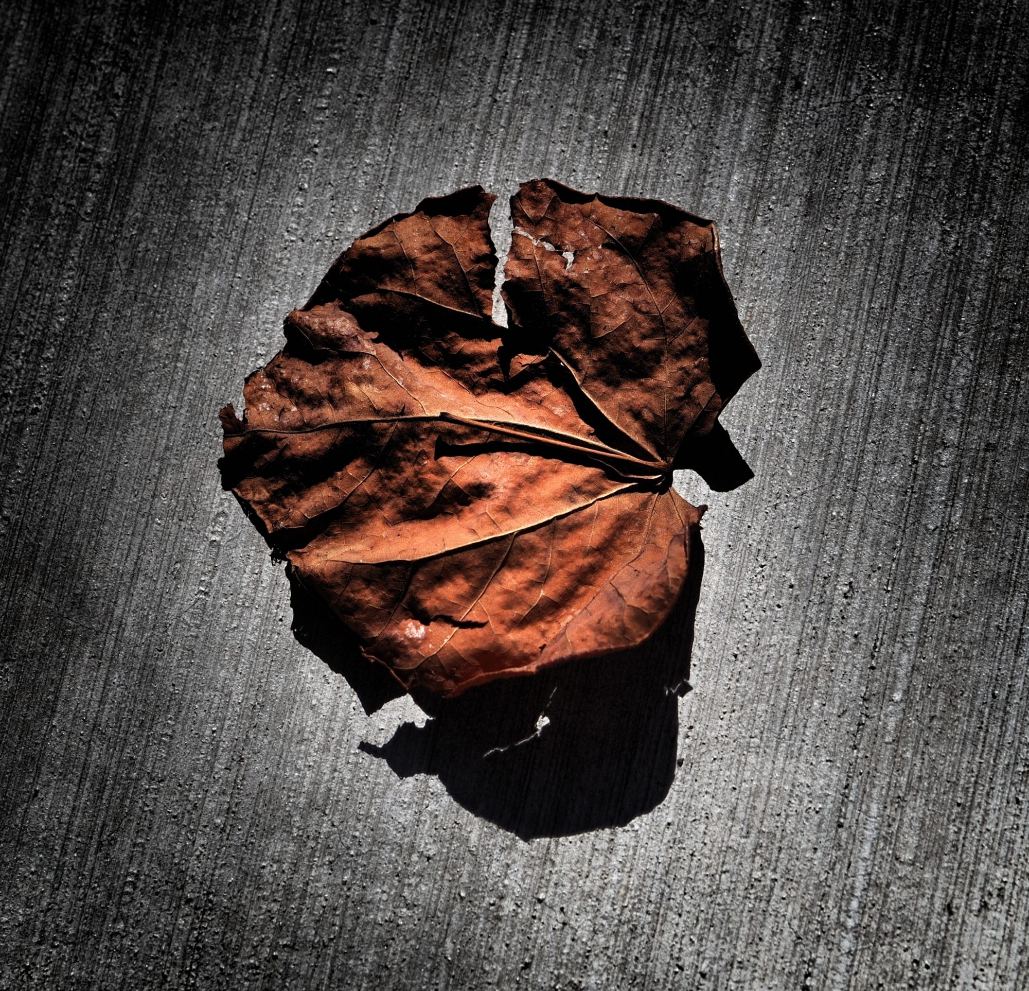 McClintock Sector BPI Portfolio Review: 9 October 2025 1