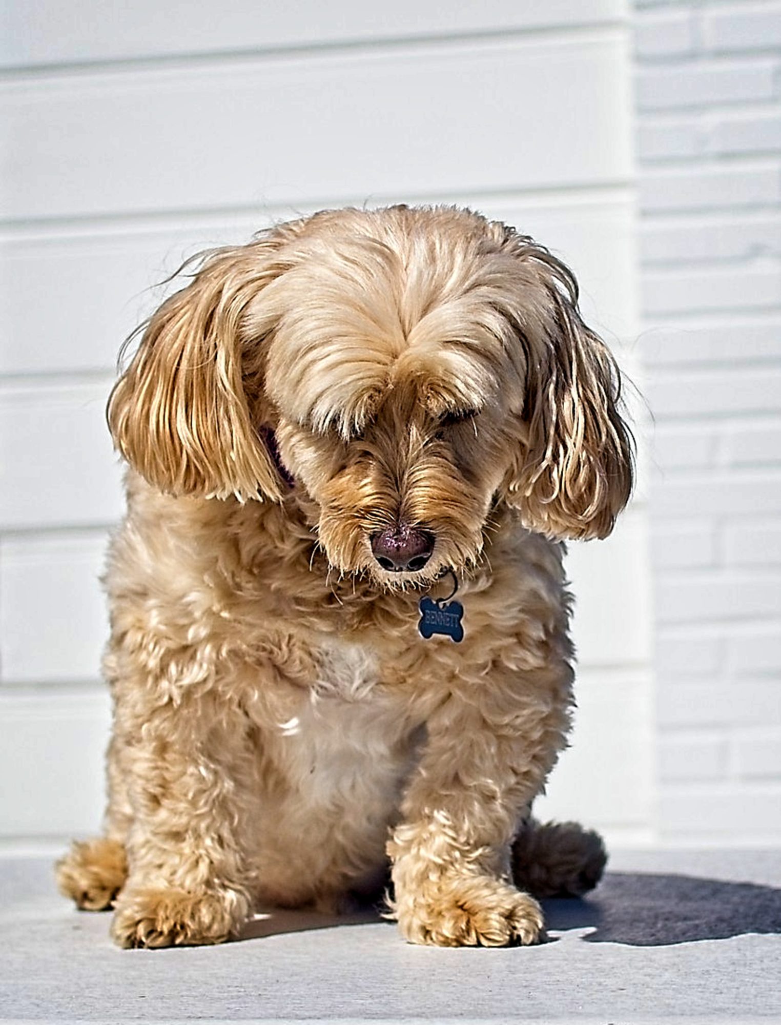 Schrodinger Robo Advisor Portfolio Review: 26 November 2025 1