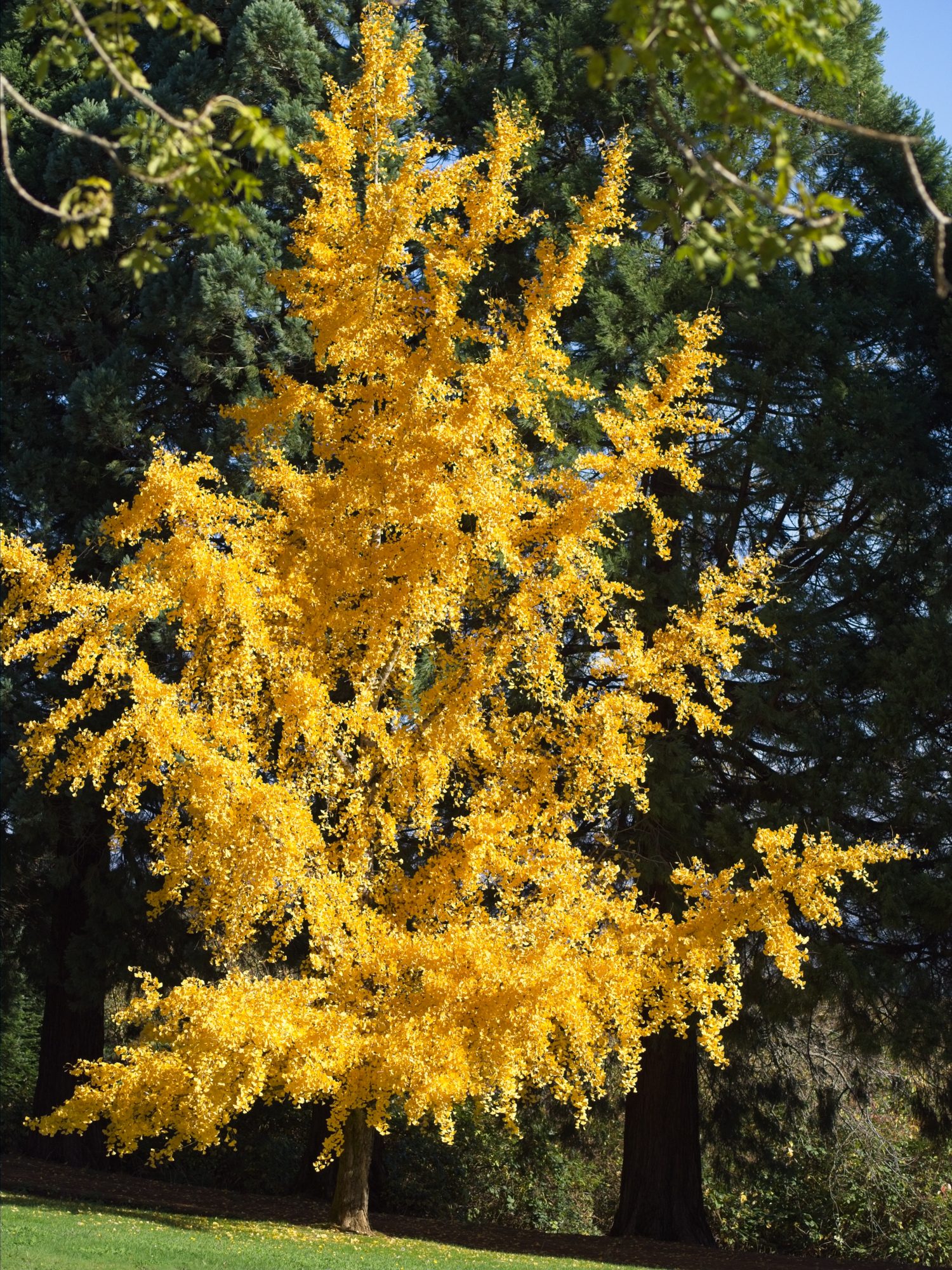 Pauling Portfolio Review: 13 November 2025 1