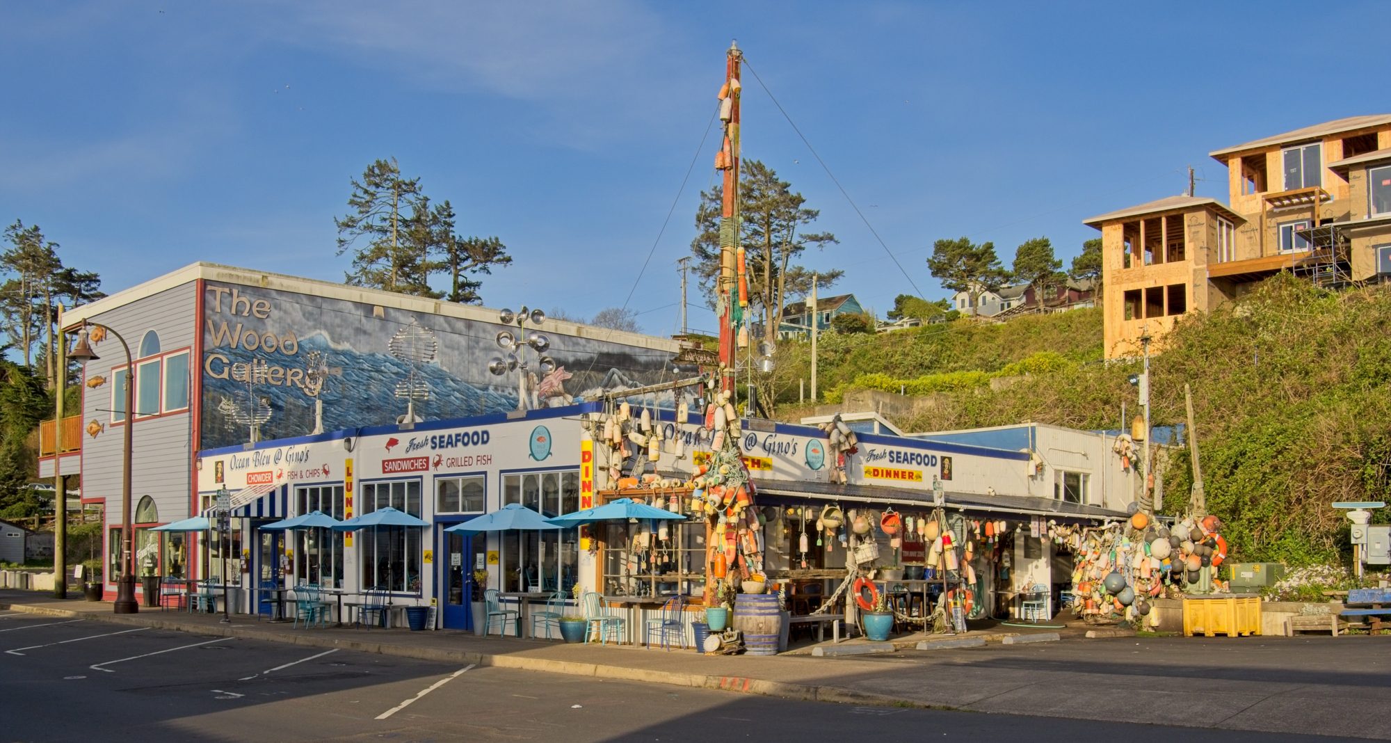 Copernicus Portfolio Review: 14 November 2025 1