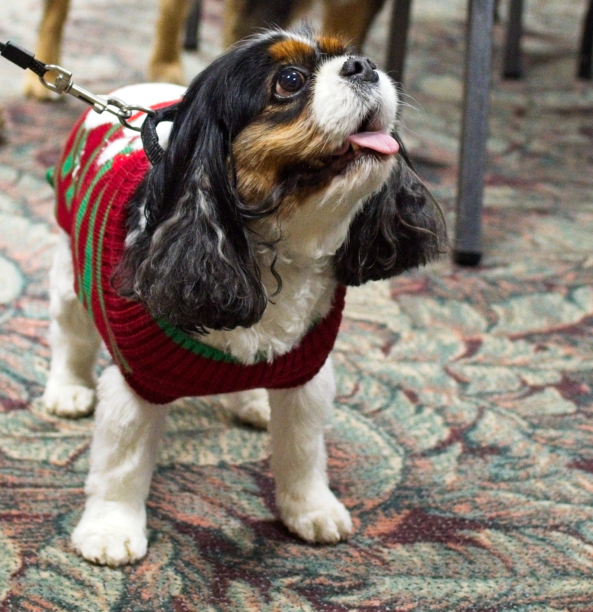 Kepler Portfolio Update: 19 December 2025 1