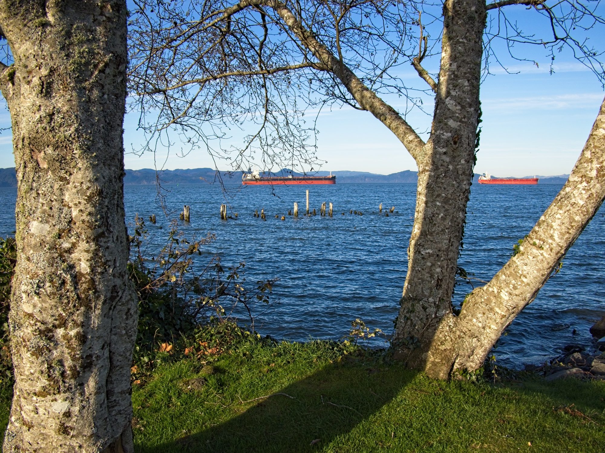 Carson Sector BPI Portfolio Review: 26 January 2026 1 Carson Sector BPI Portfolio Review: 26 January 2026 1