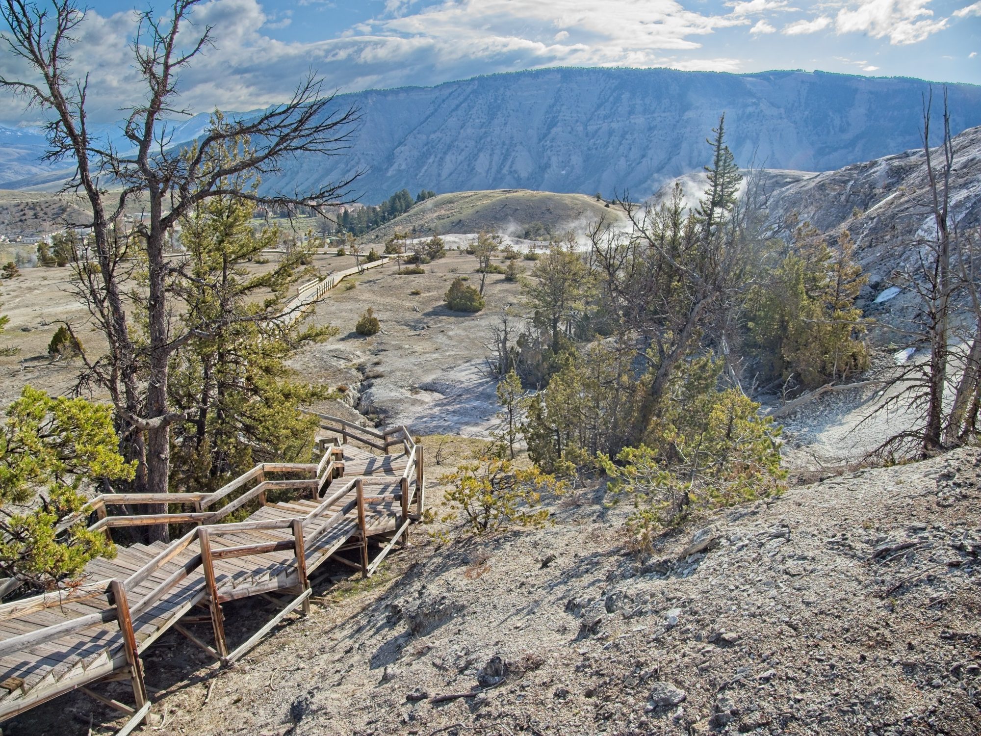 Schrodinger Portfolio Update: 2 January 2026 1