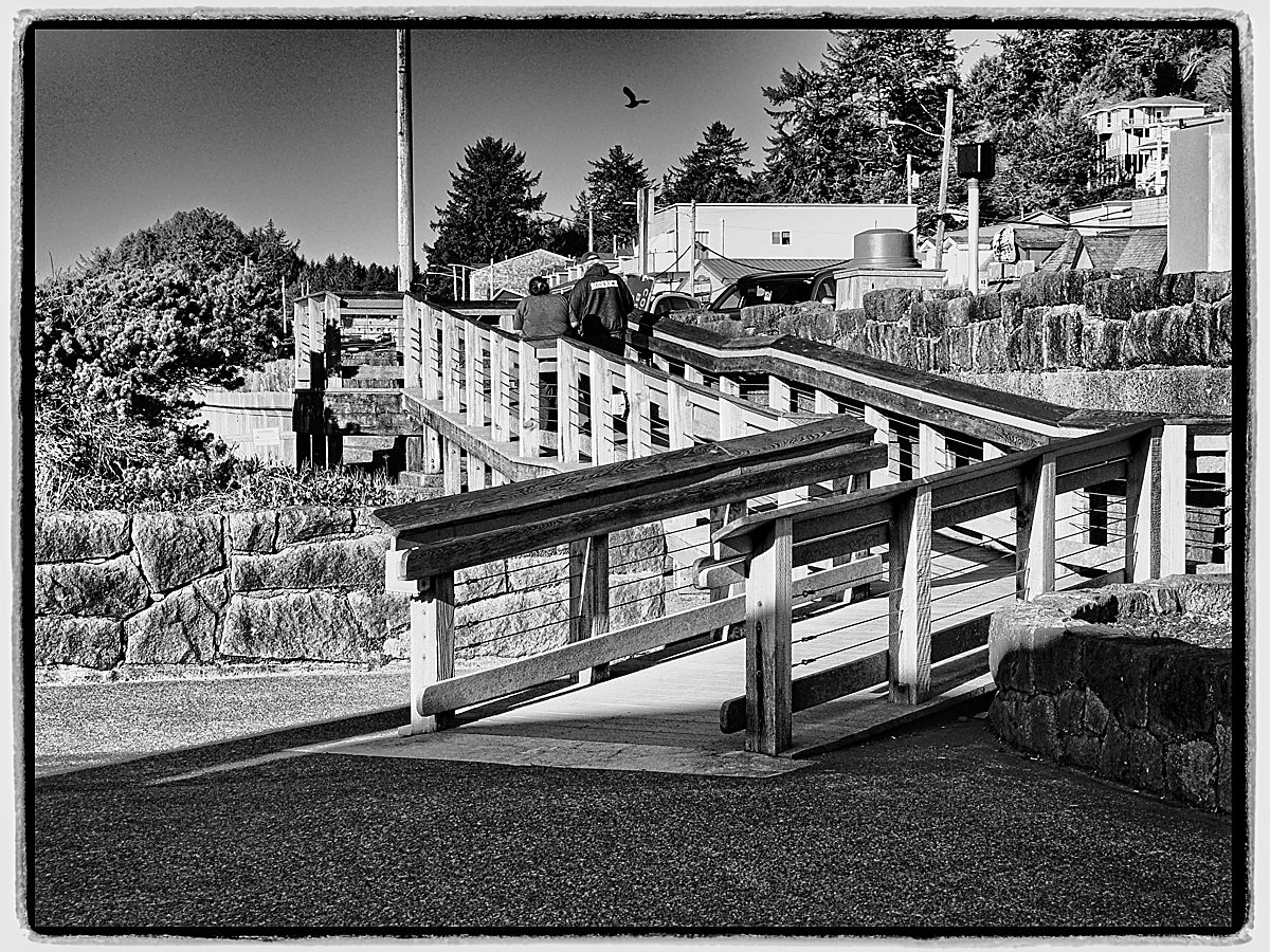 Copernicus Portfolio Update: 12 February 2026 1