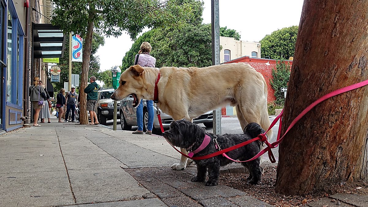 Schrodinger Portfolio Update: 24 February 2026 1