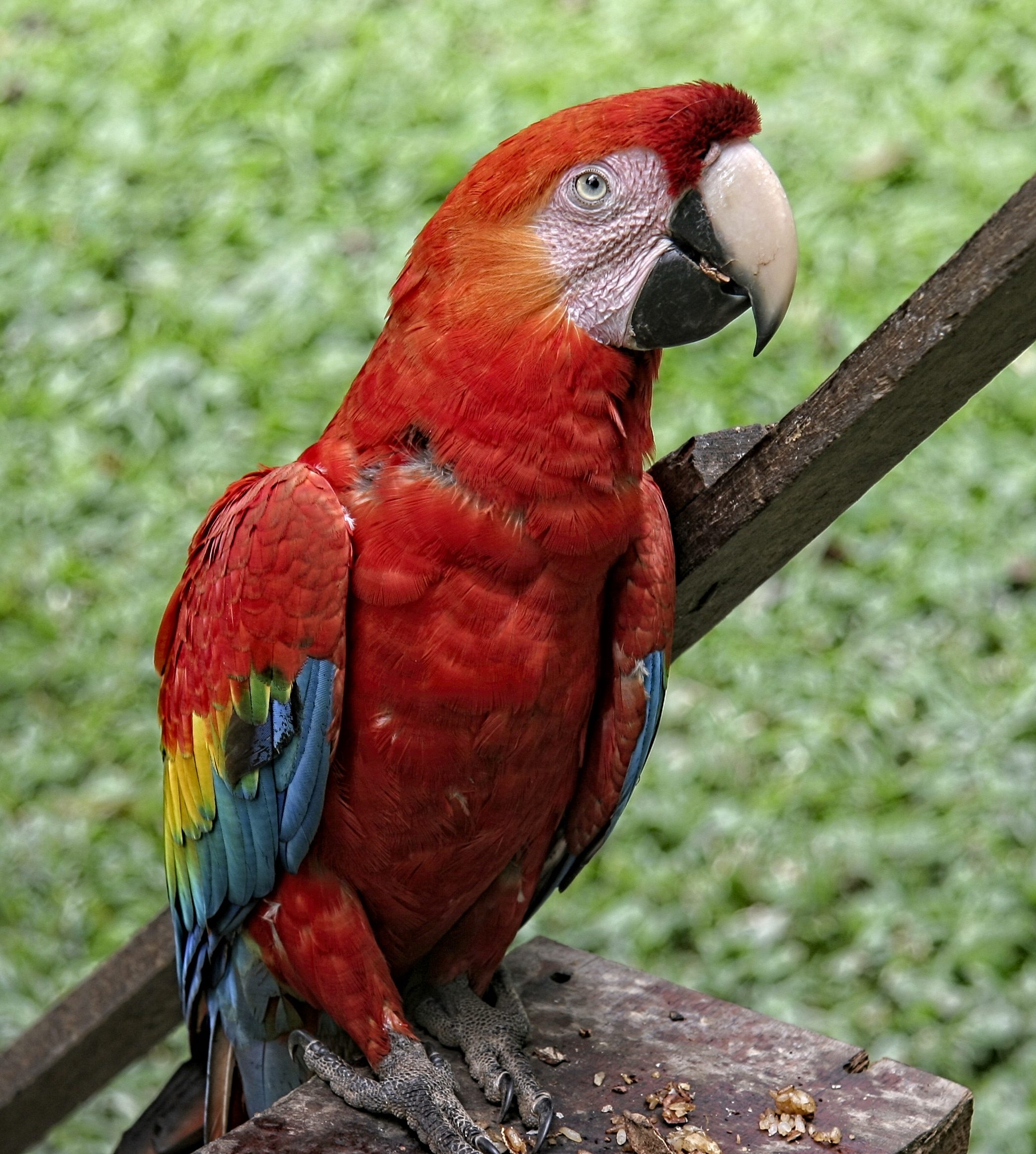 McClintock Sector BPI Portfolio Review: 13 March 2026 1