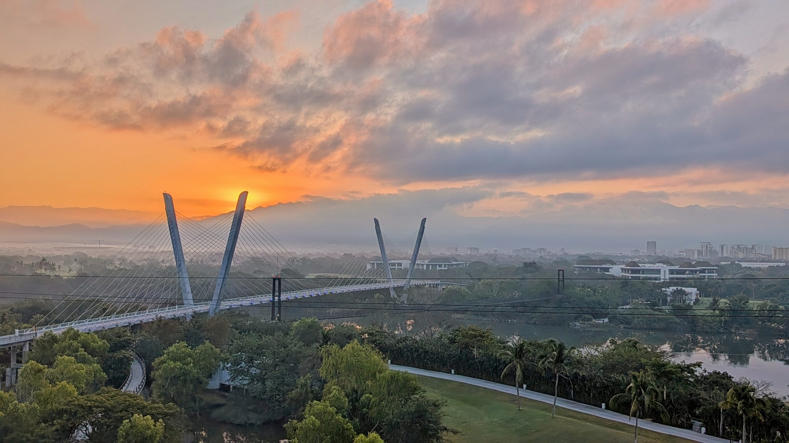 Darwin 2026 Portfolio Review: 27 February 2026 1