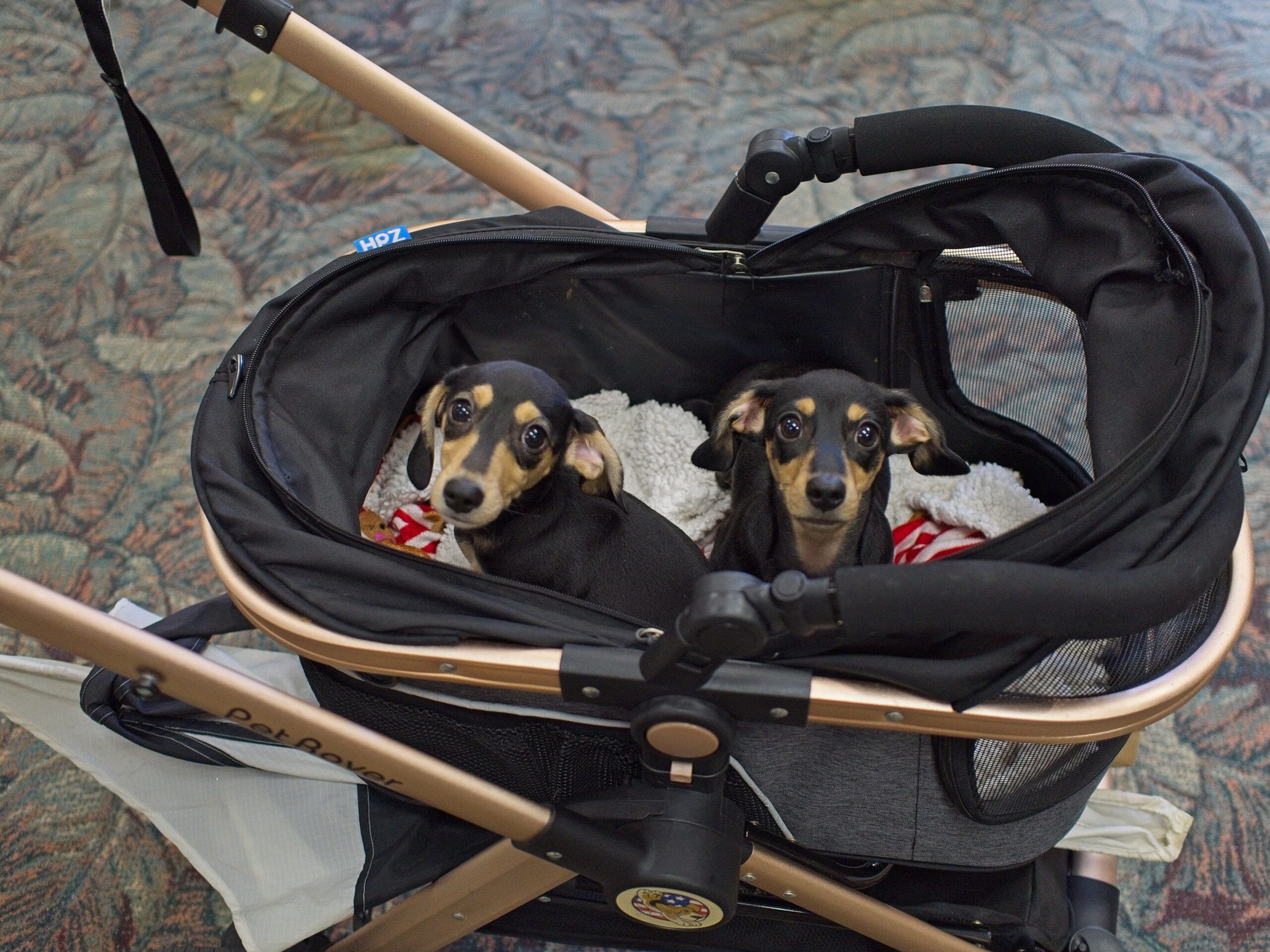 Copernicus Portfolio Update: 27 April 2026 1