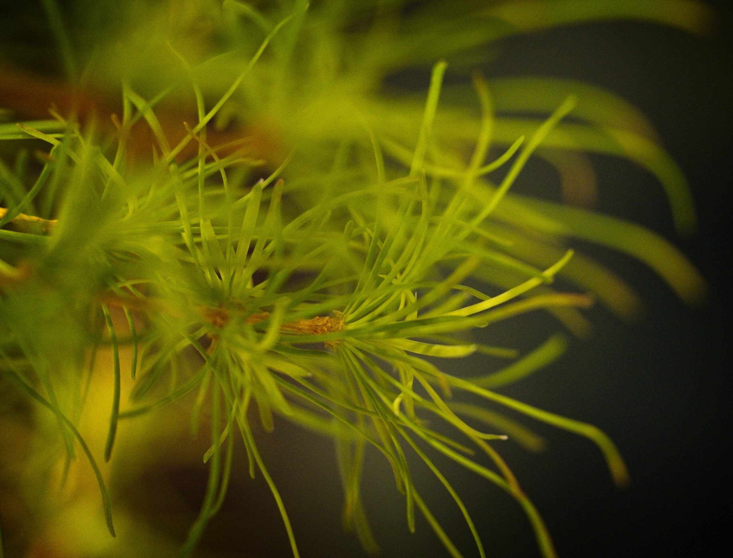 Schrodinger Portfolio Update: 17 April 2026 1