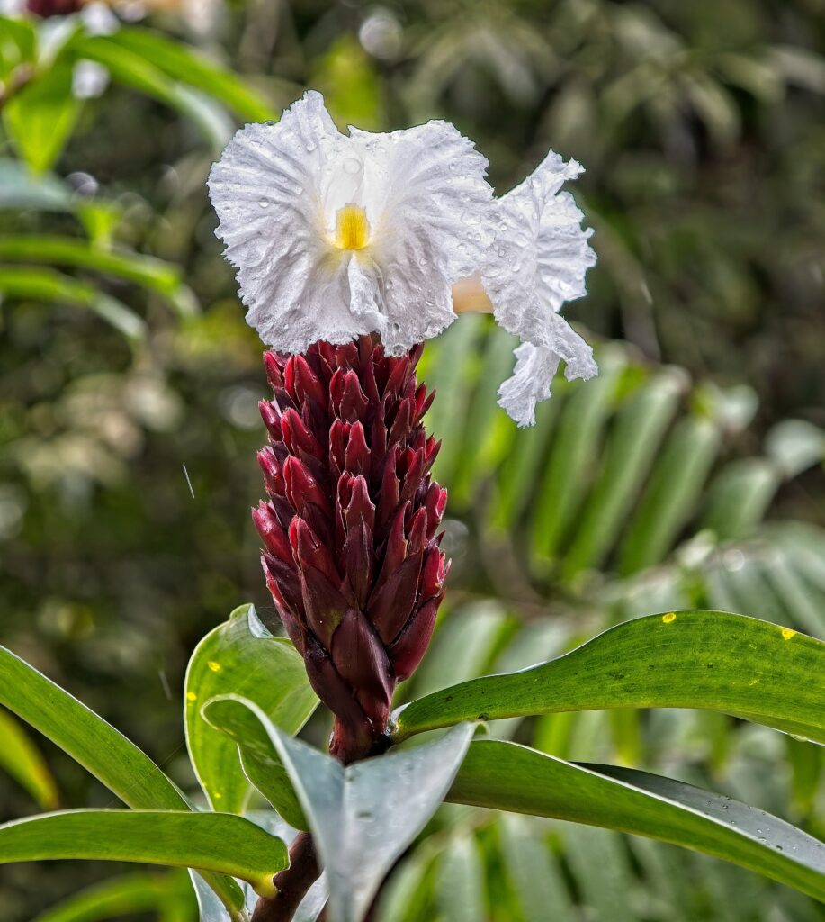 Dirac 2026 Portfolio Review: 2 April 2026 1 Dirac 2026 Portfolio Review: 2 April 2026 1